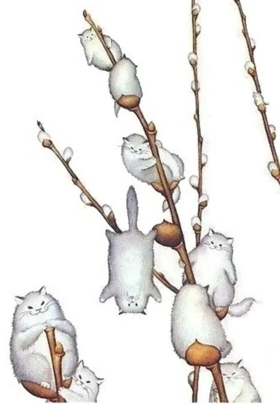 Card image 1