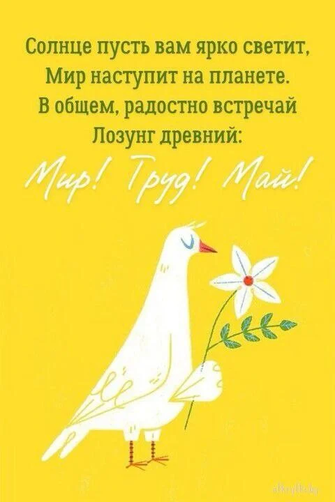 Card image 1
