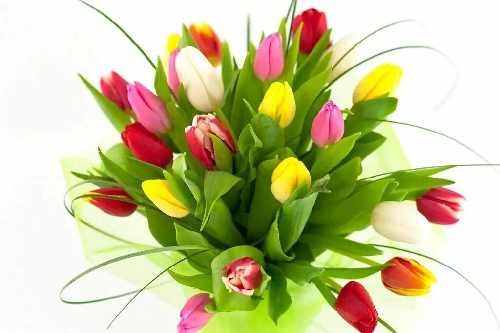 Card image 3