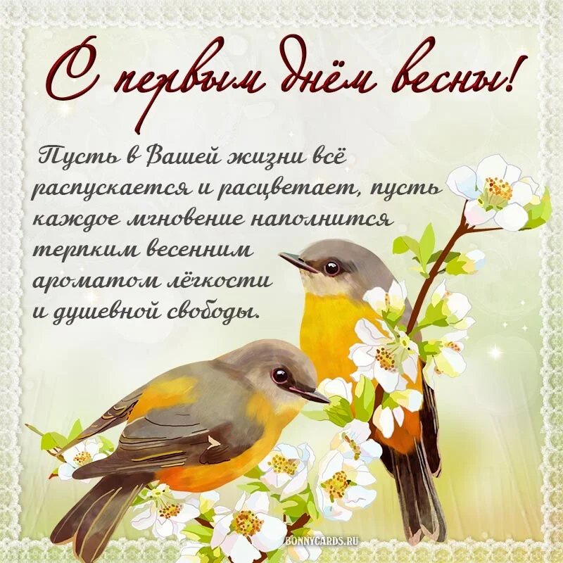 Card image 1