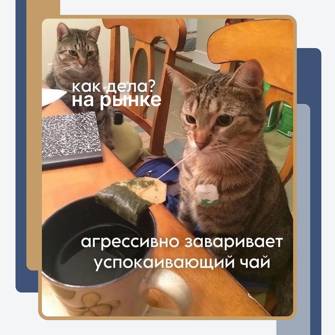 Card image 1