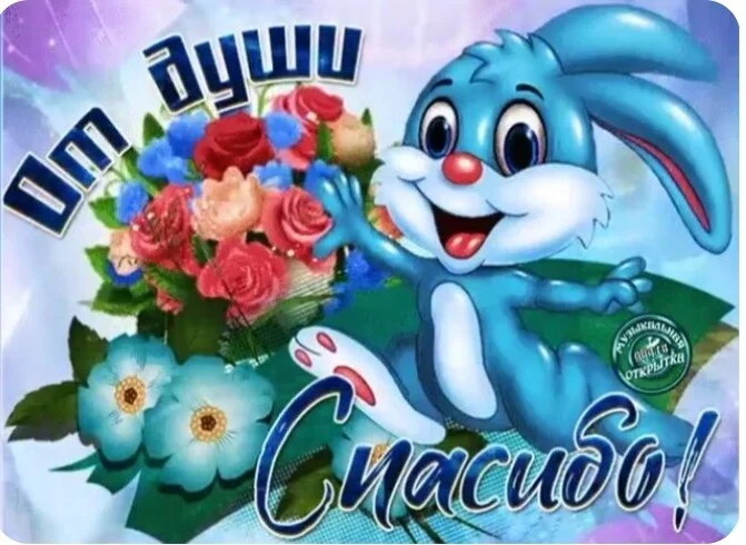 Card image 2