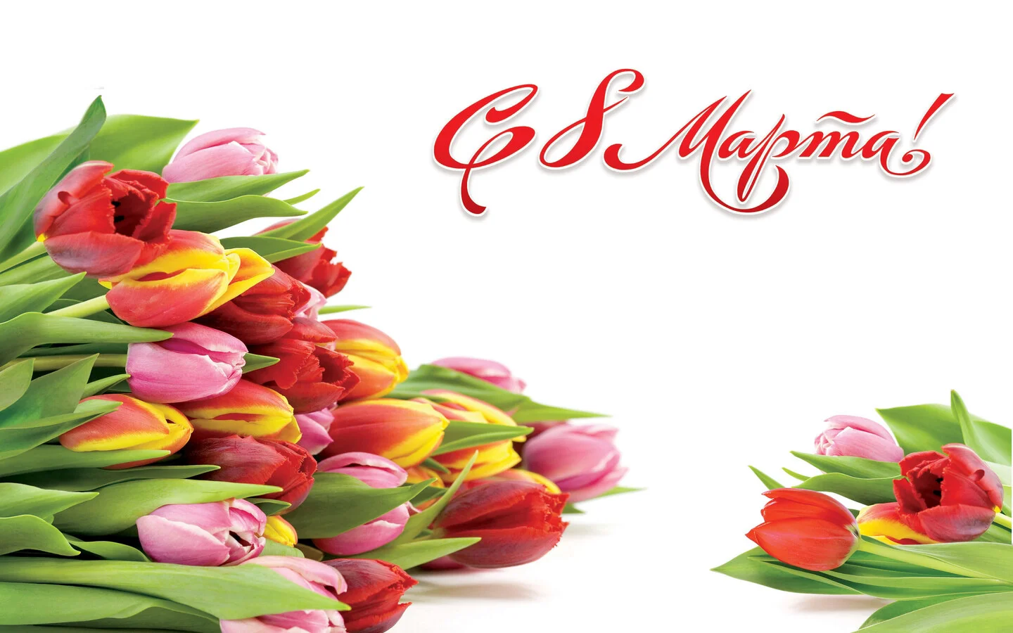 Card image 1