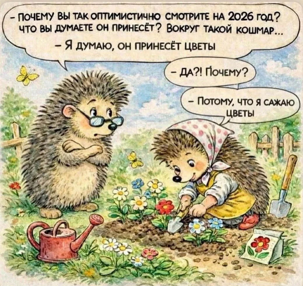 Card image 3