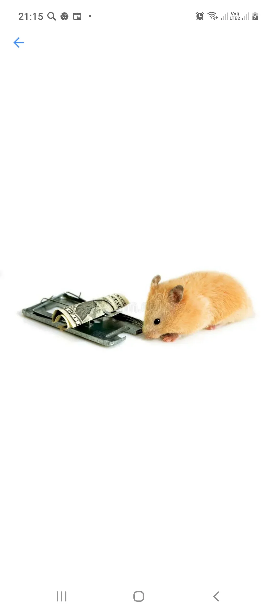 Card image 1