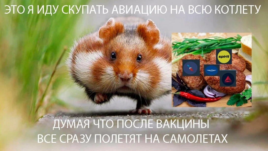 Card image 1