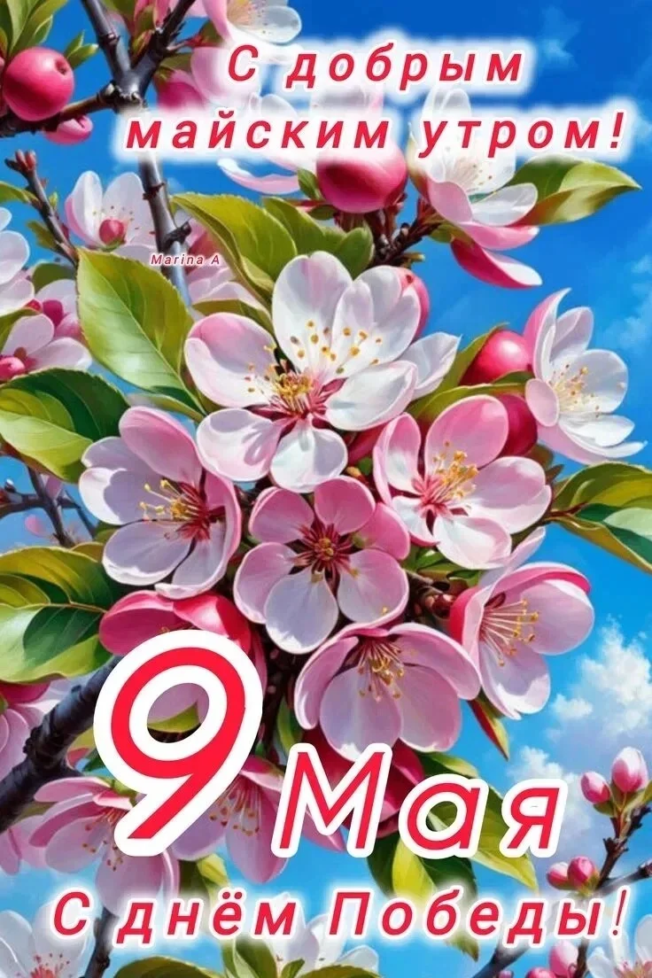 Card image 1