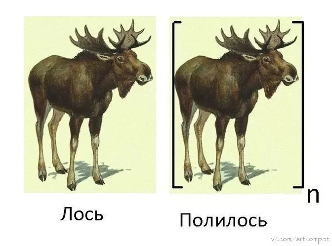 Card image 1