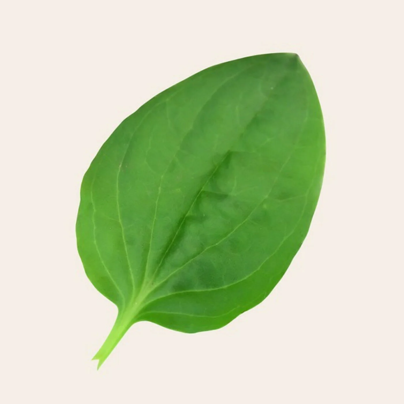 Card image 1