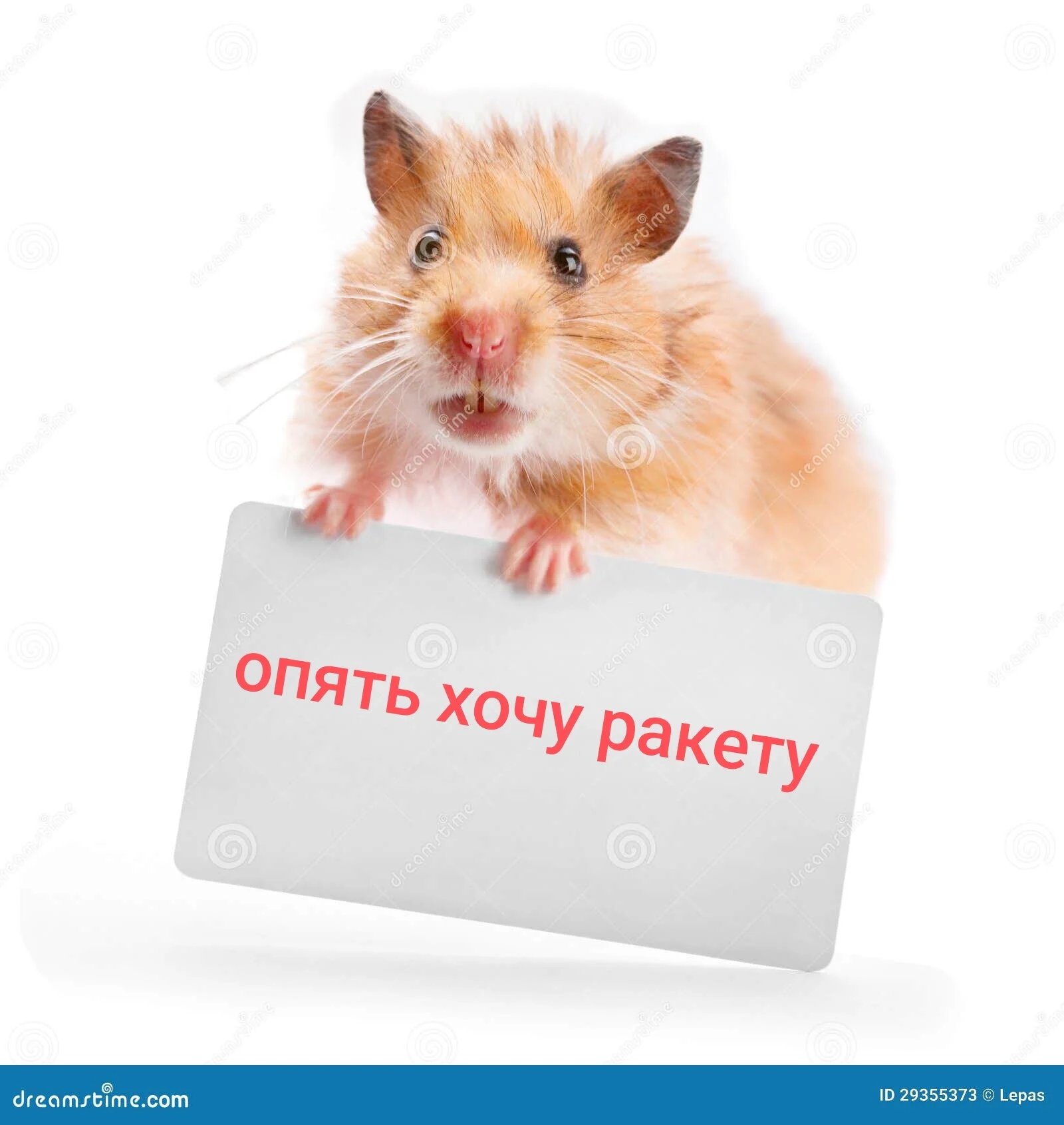 Card image 1