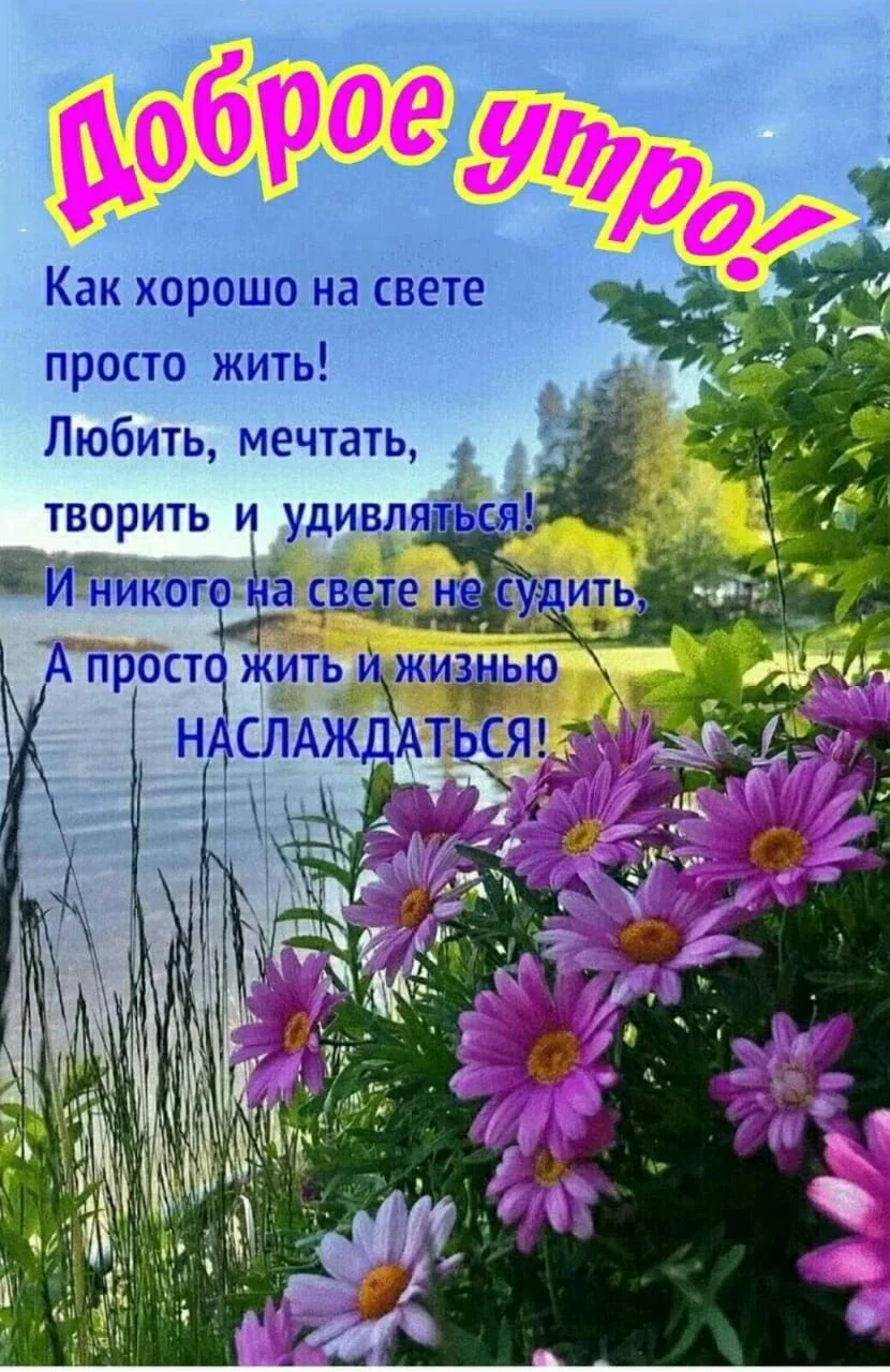 Card image 1