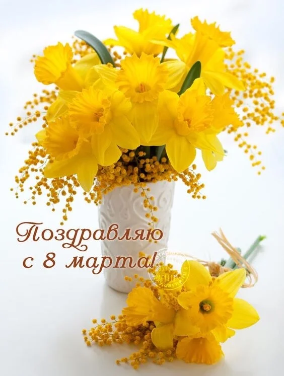Card image 1