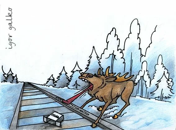 Card image 1