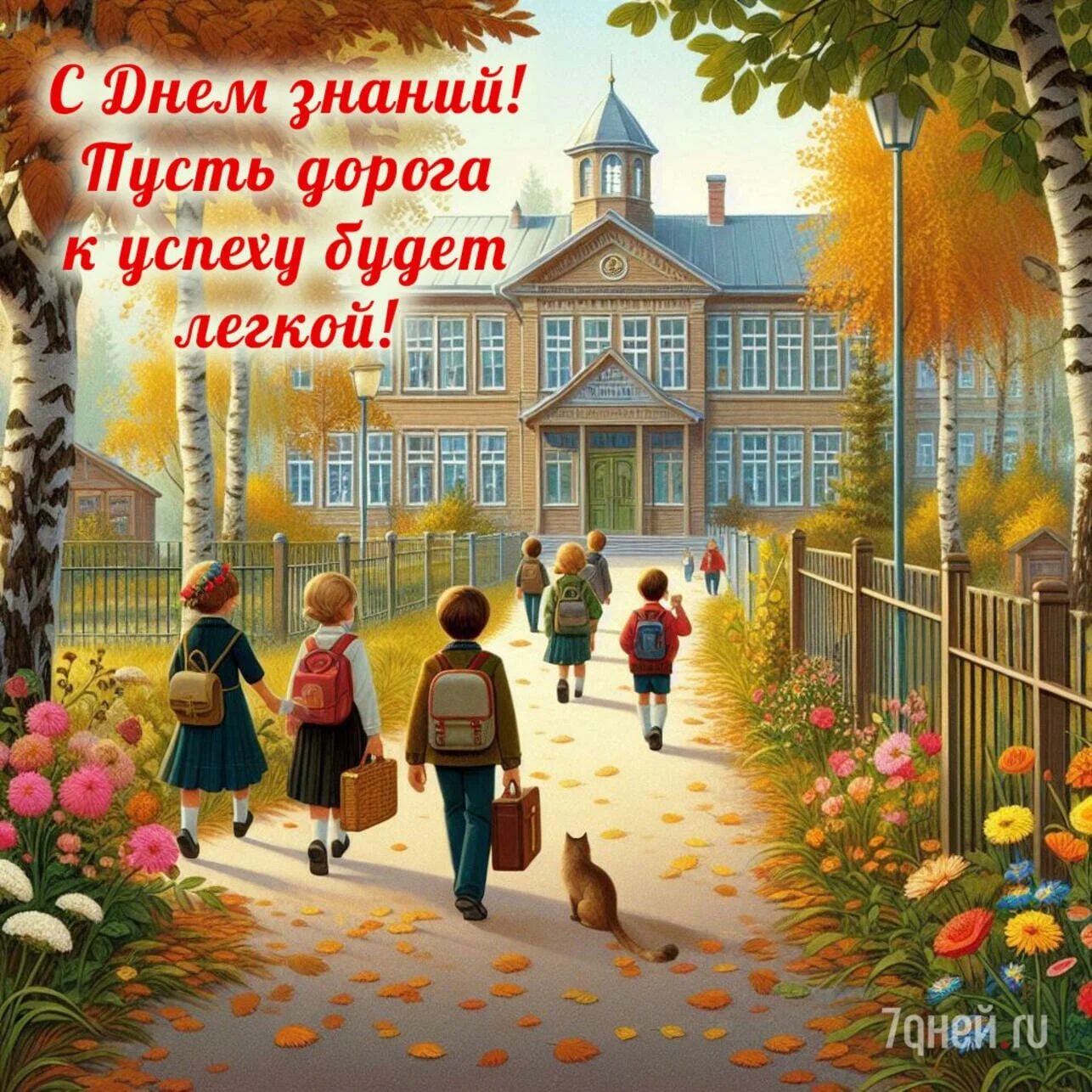 Card image 2