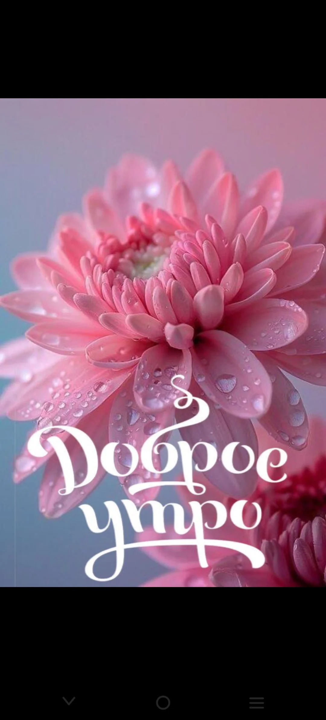 Card image 2