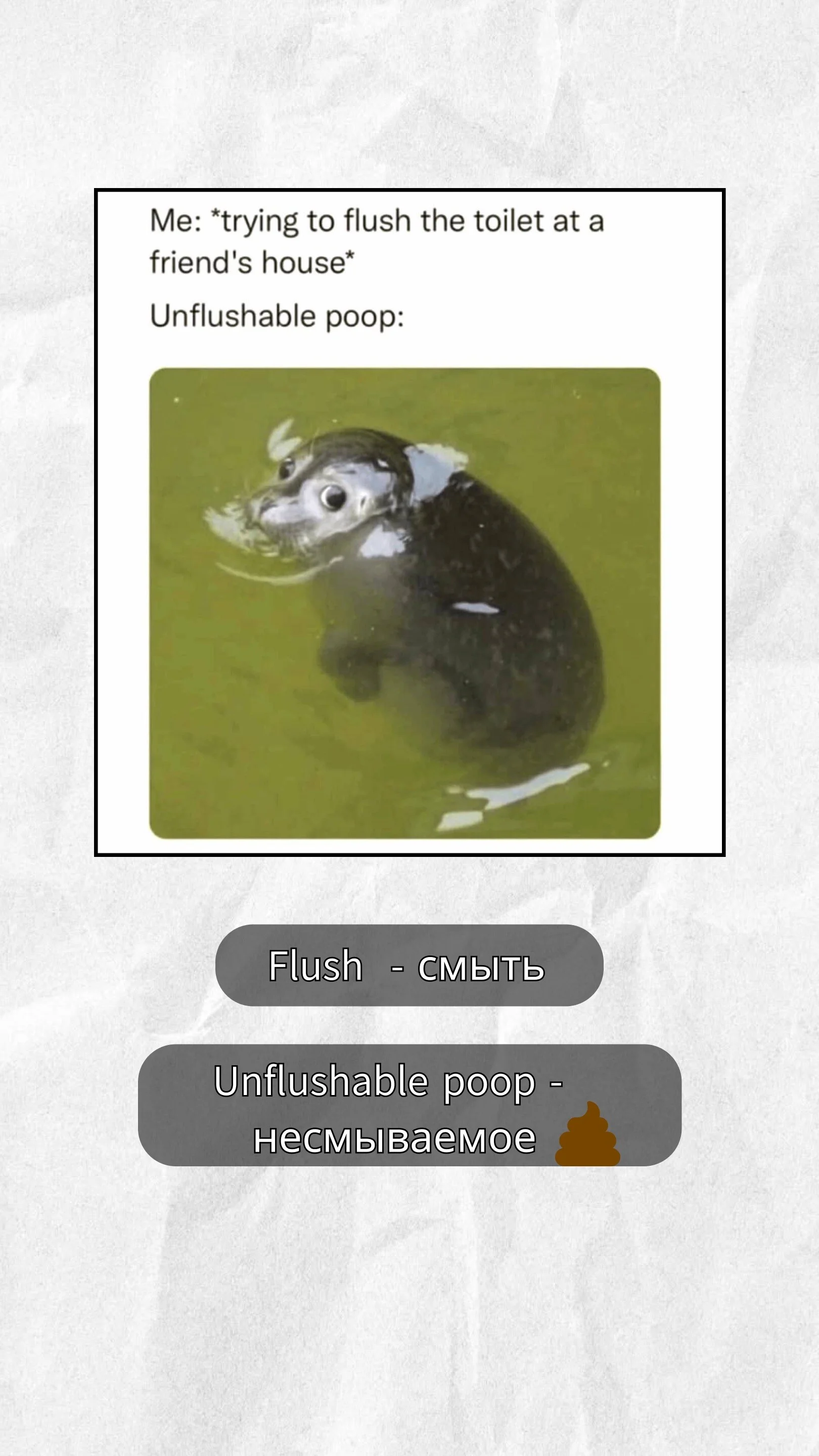 Card image 3