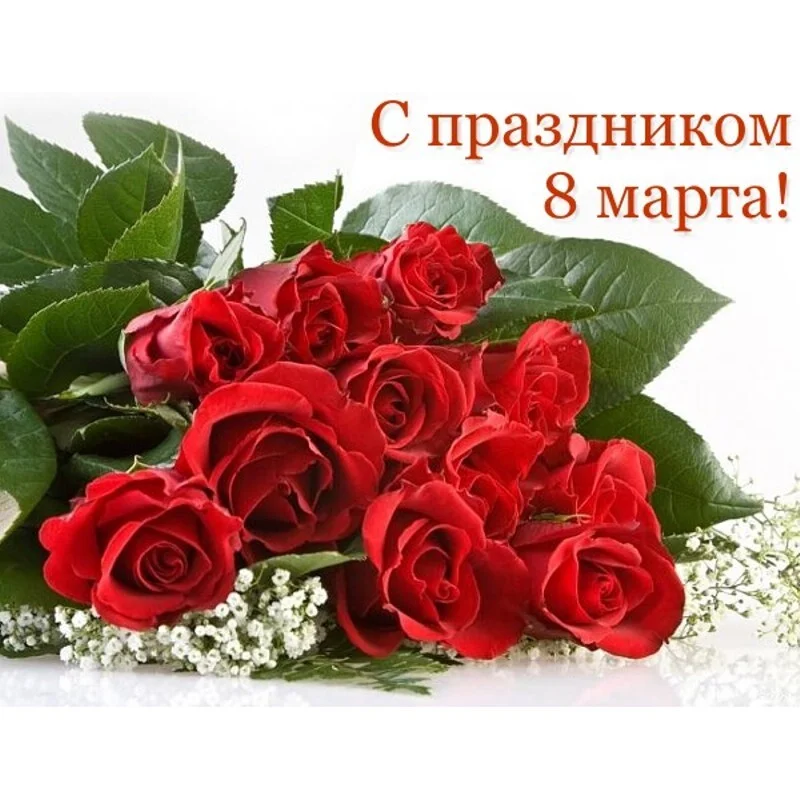 Card image 1