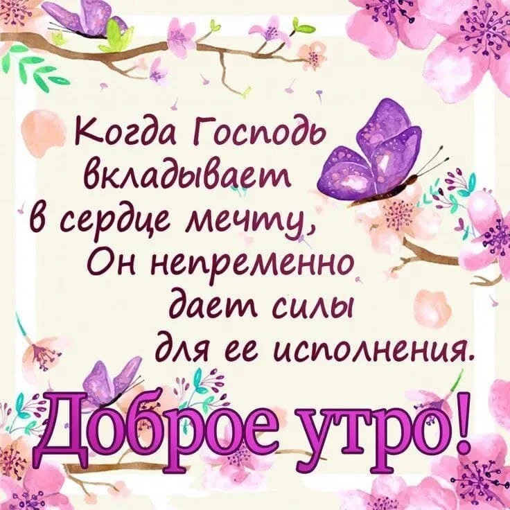 Card image 3