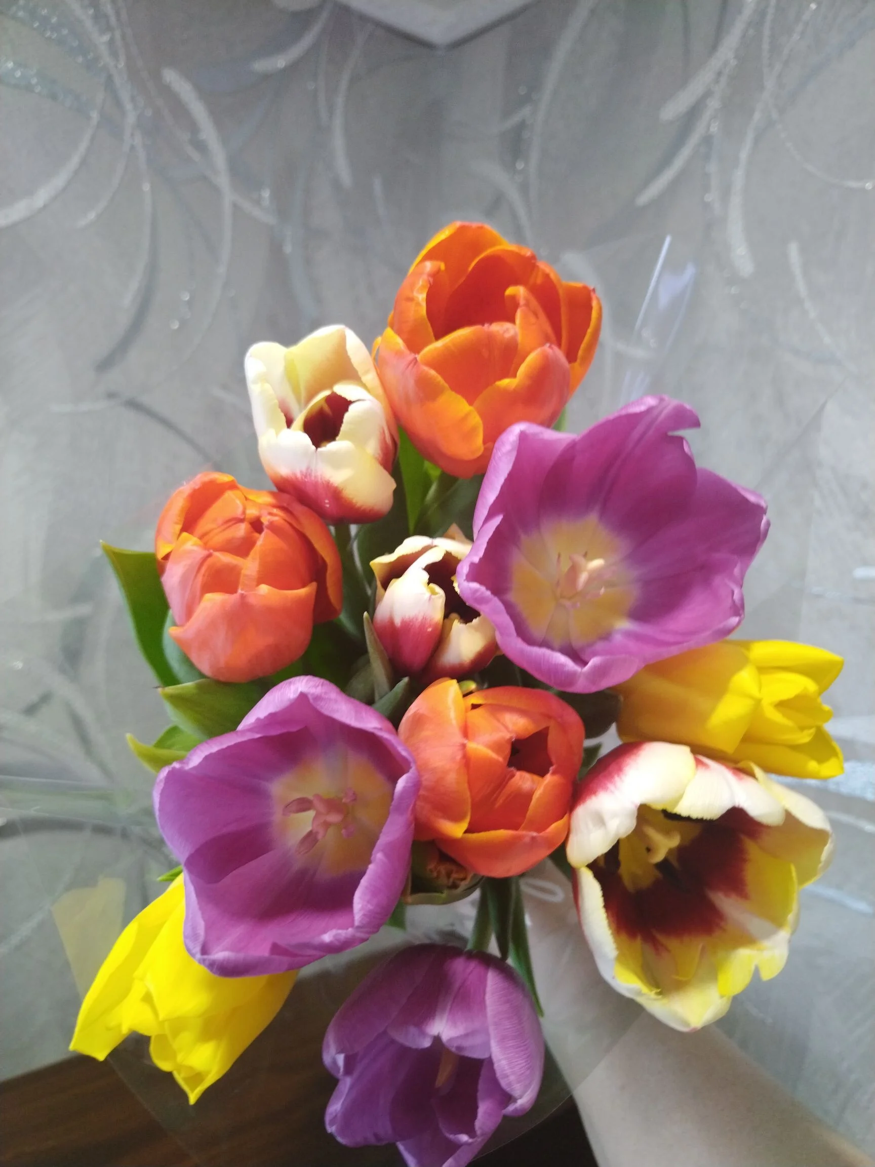 Card image 3