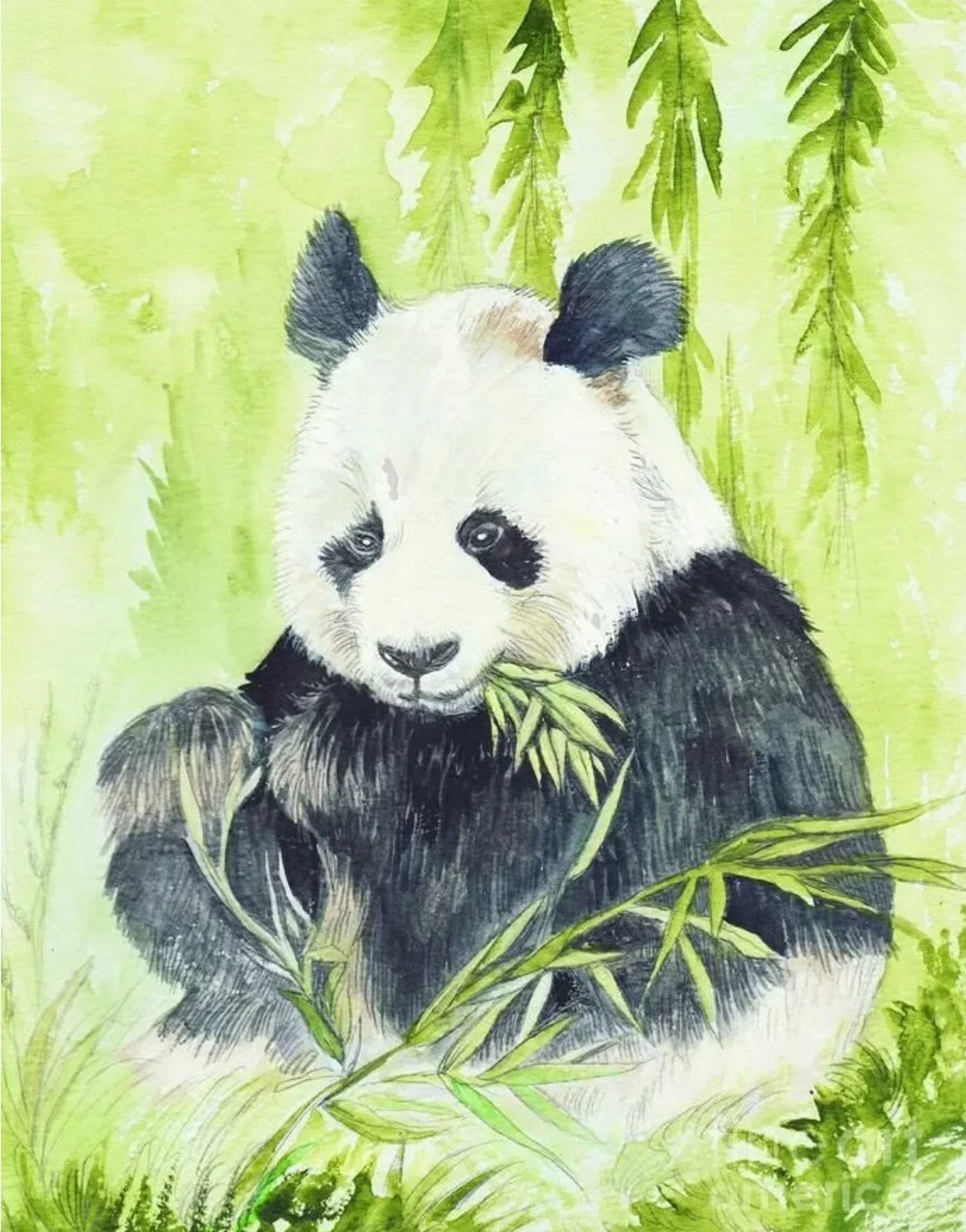 Card image 1