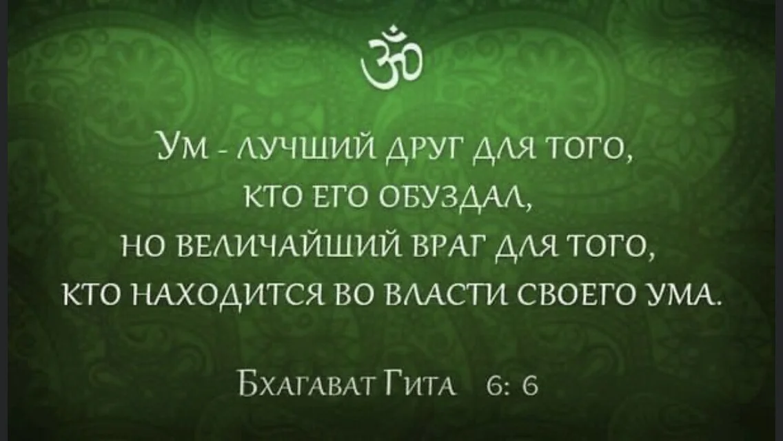 Card image 2