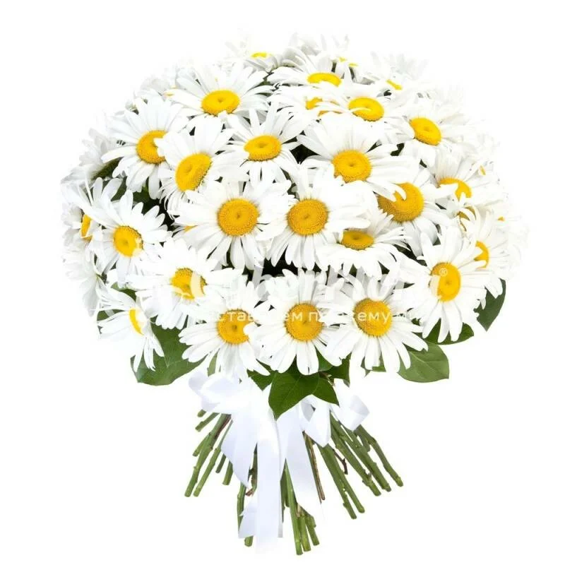 Card image 1