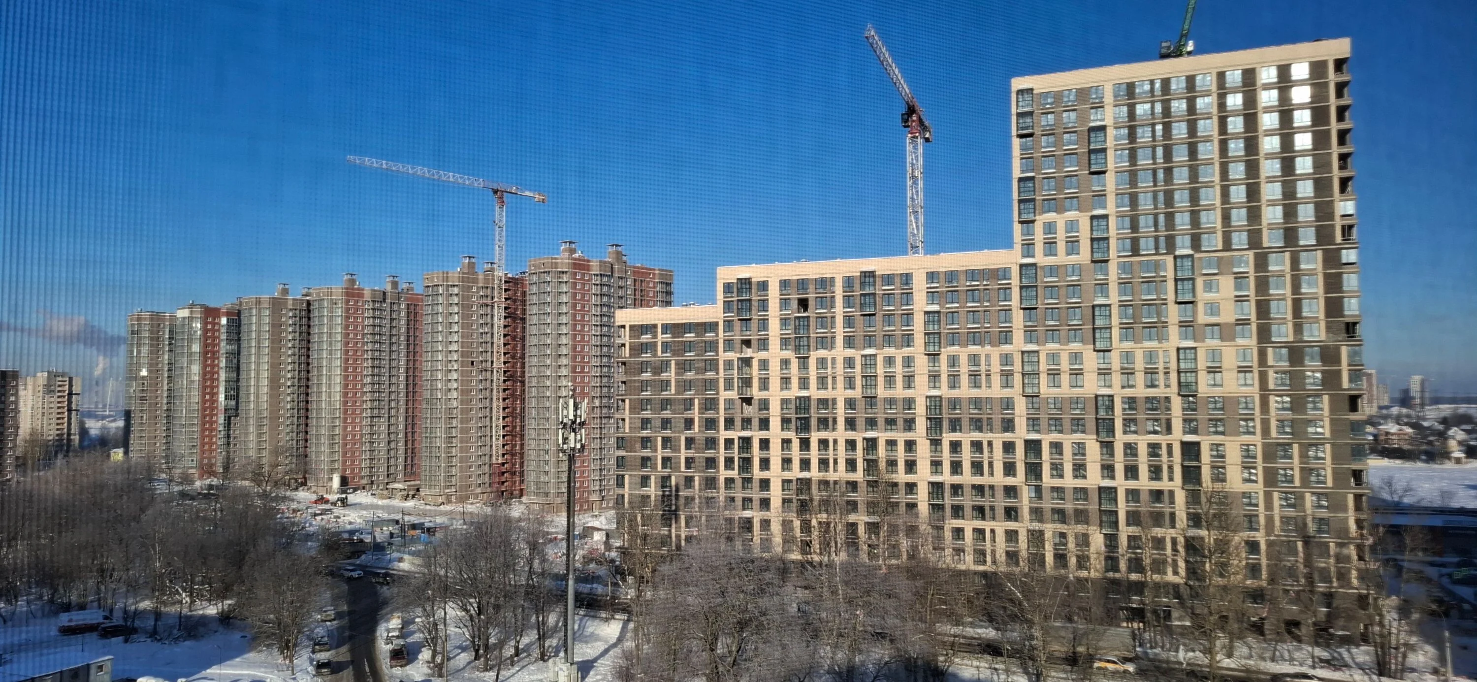 Card image 1