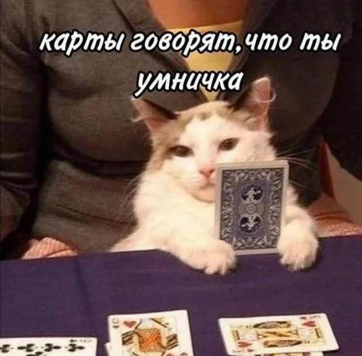 Card image 2