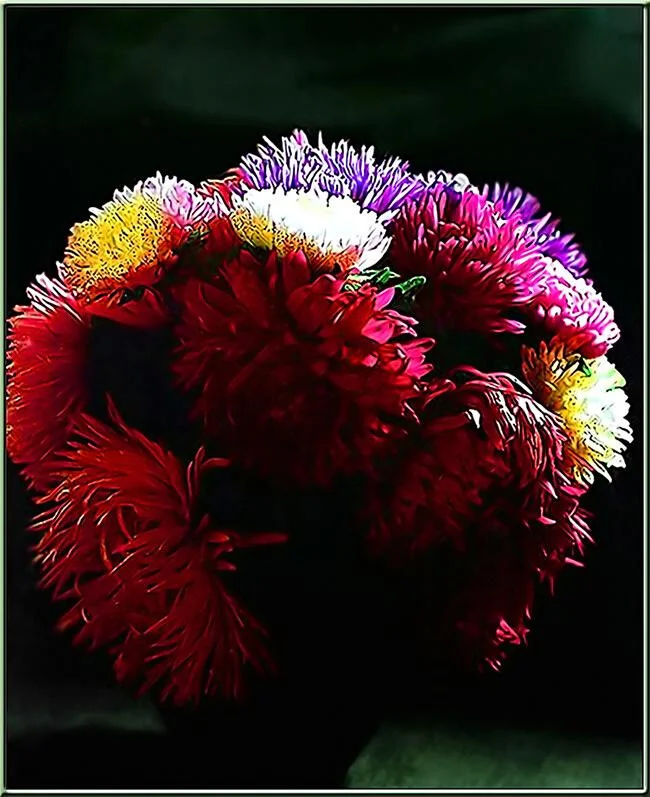 Card image 1