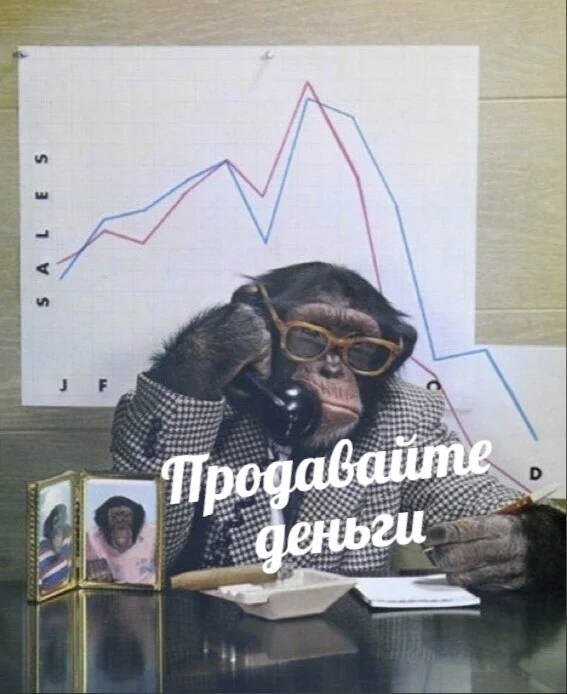 Card image 1