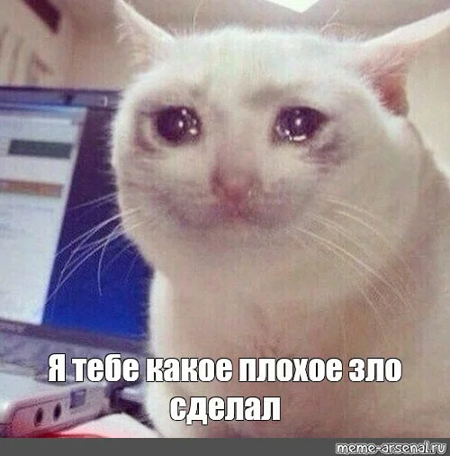 Card image 1