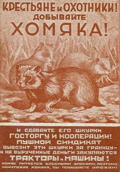 Card image 1