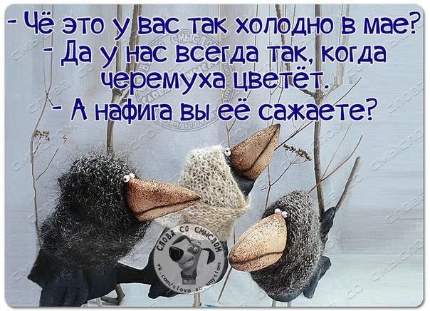 Card image 1