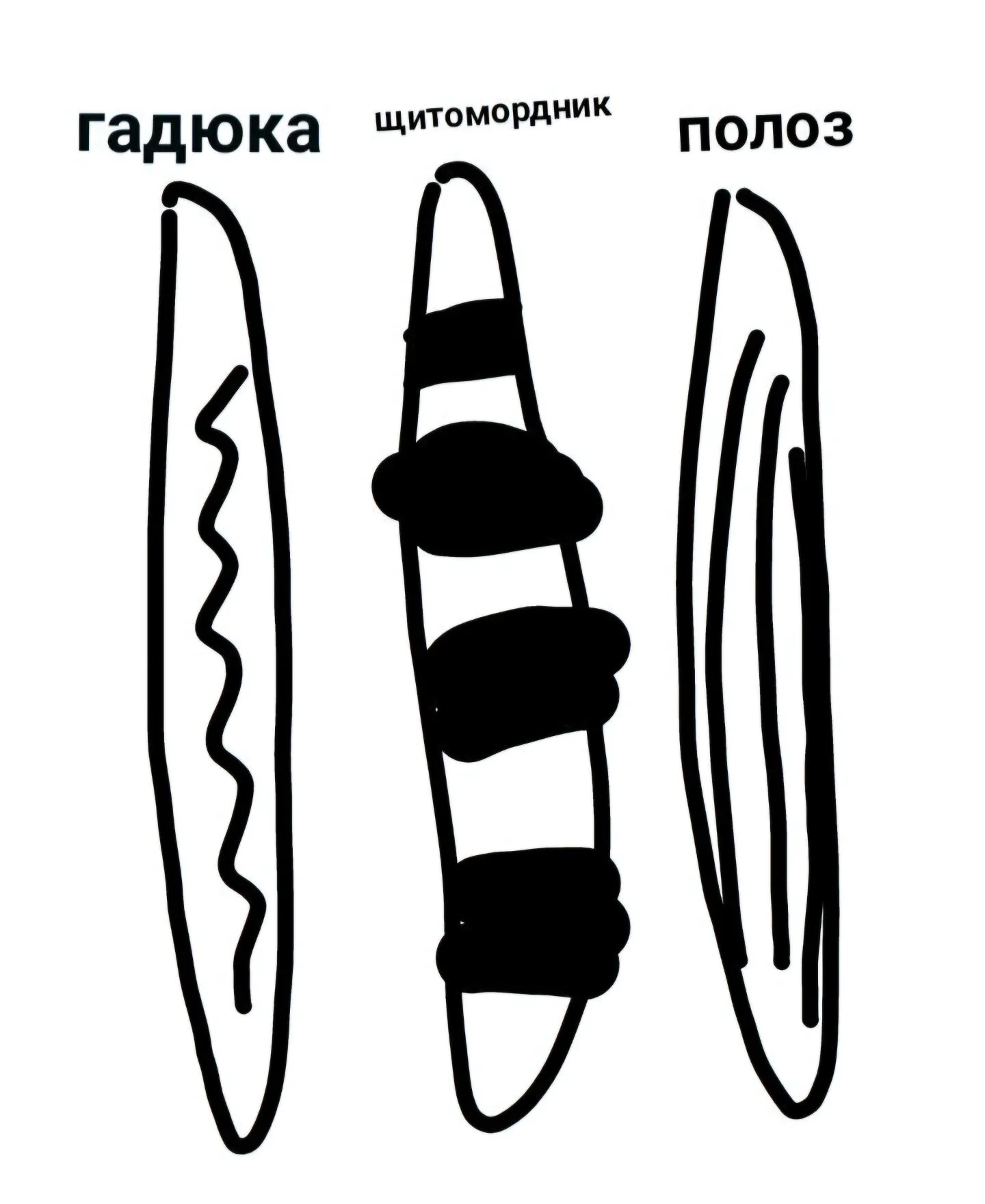Card image 1