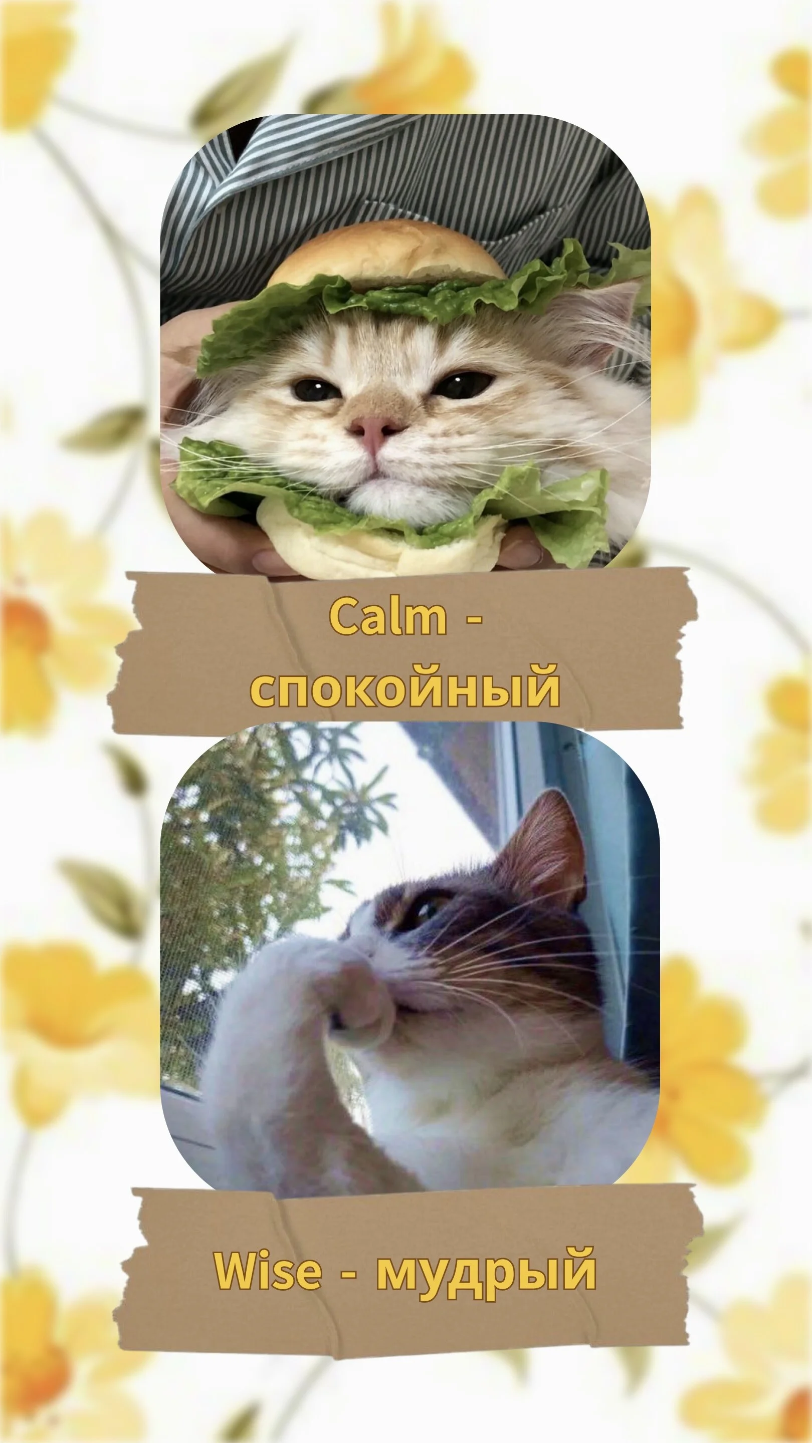 Card image 3