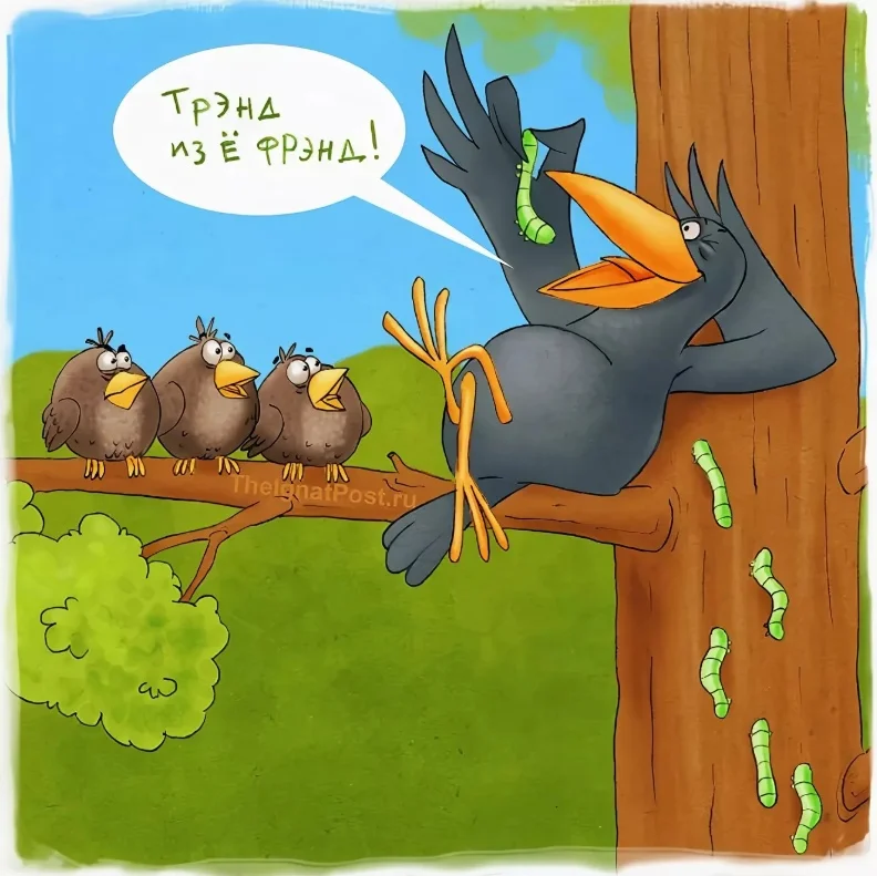 Card image 1