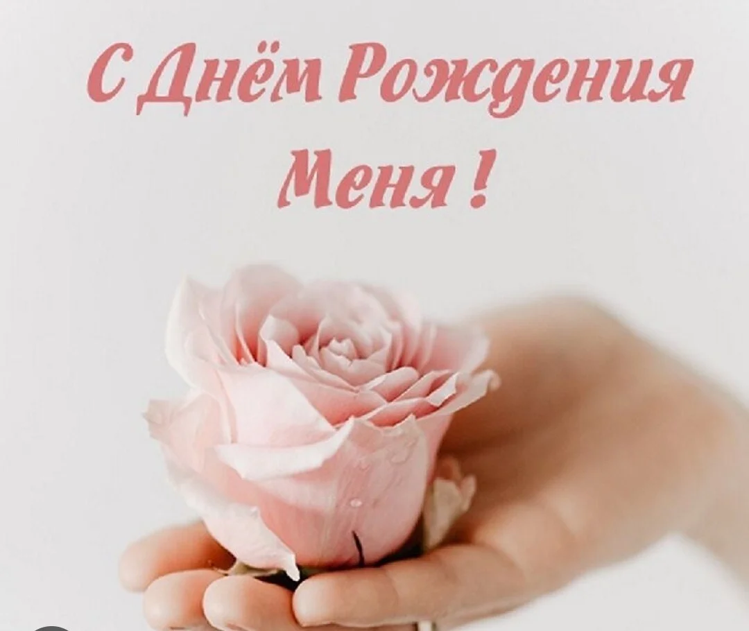 Card image 2