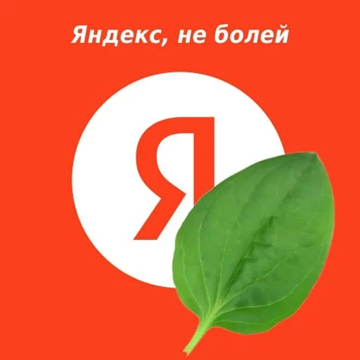 Card image 1