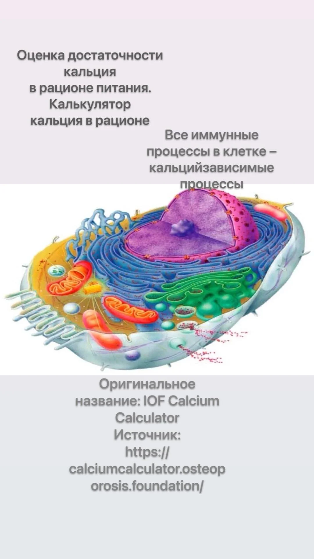 Card image 1