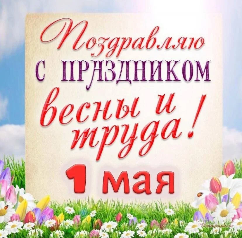 Card image 1