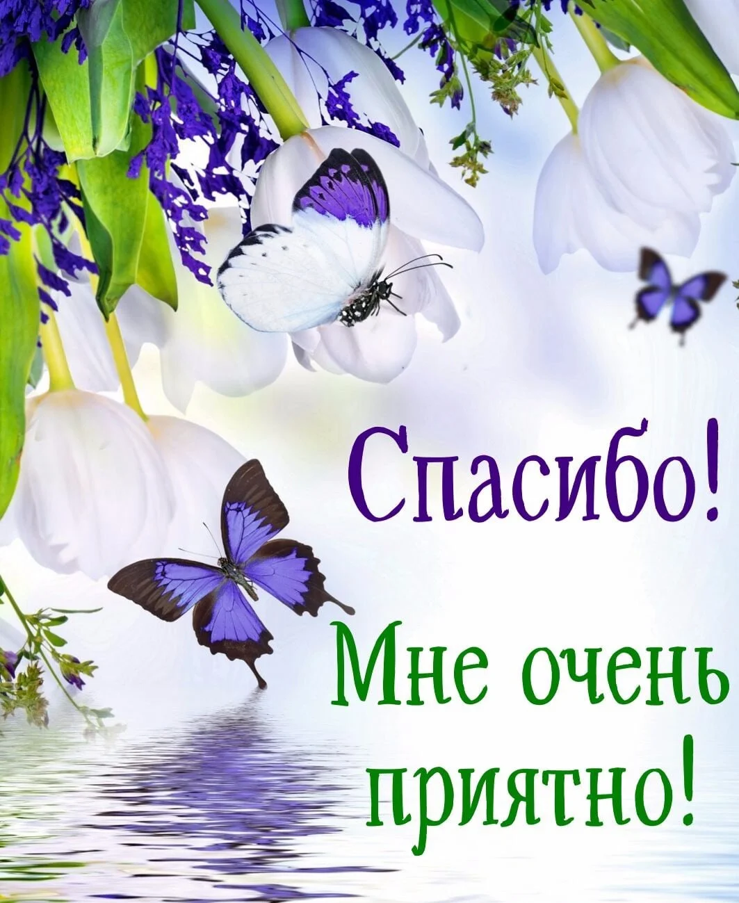 Card image 1