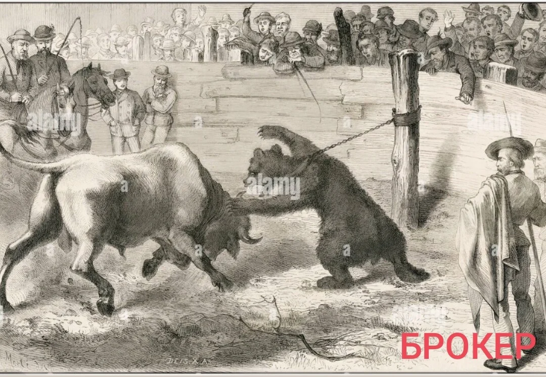 Card image 1