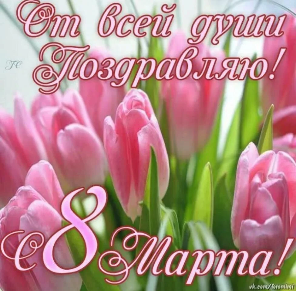 Card image 1