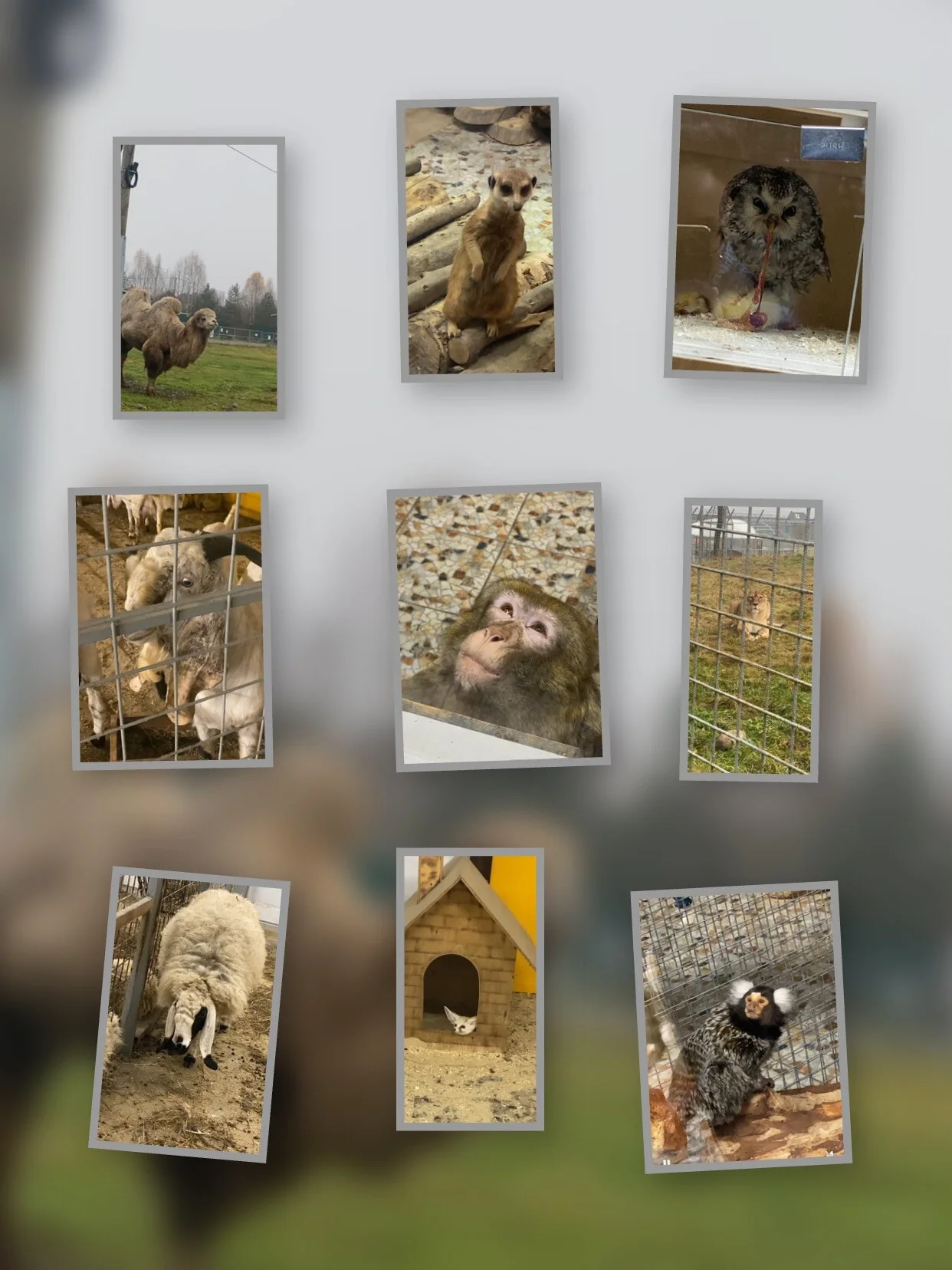 Card image 3