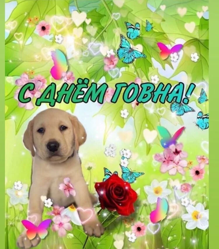 Card image 1