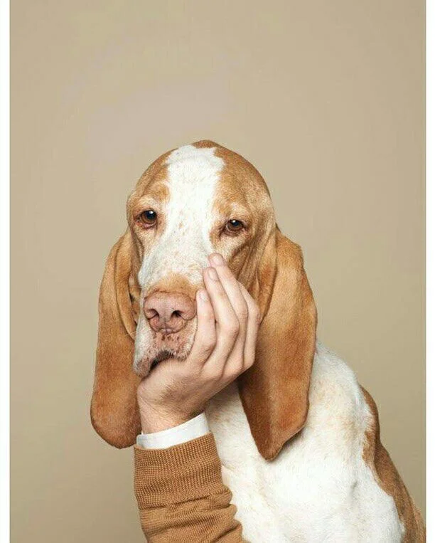 Card image 1