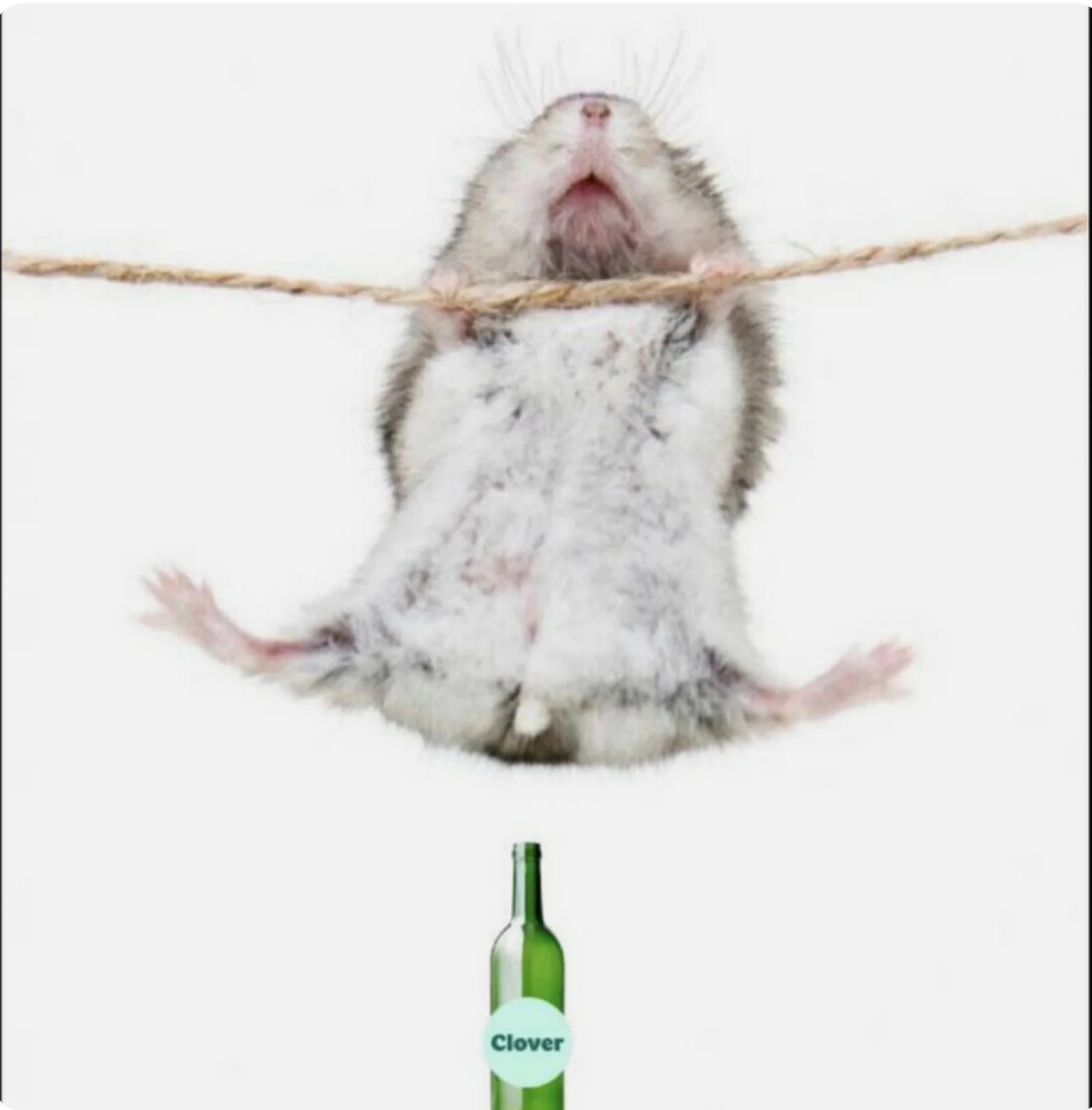 Card image 1