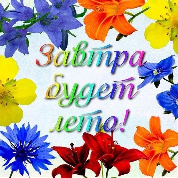 Card image 1