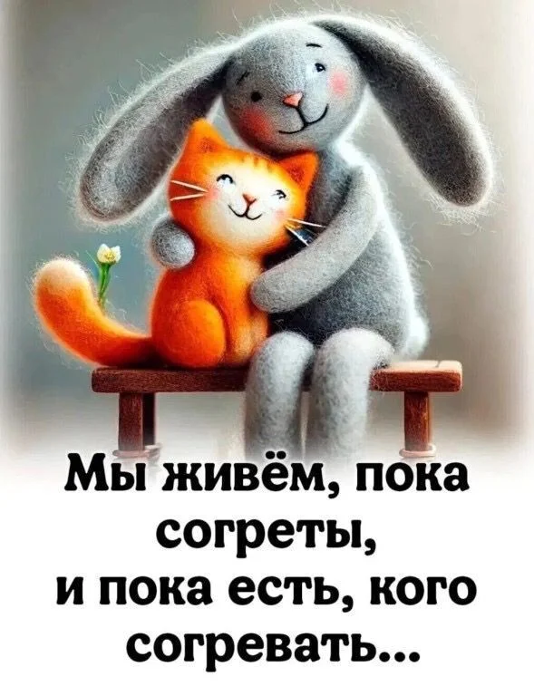 Card image 1