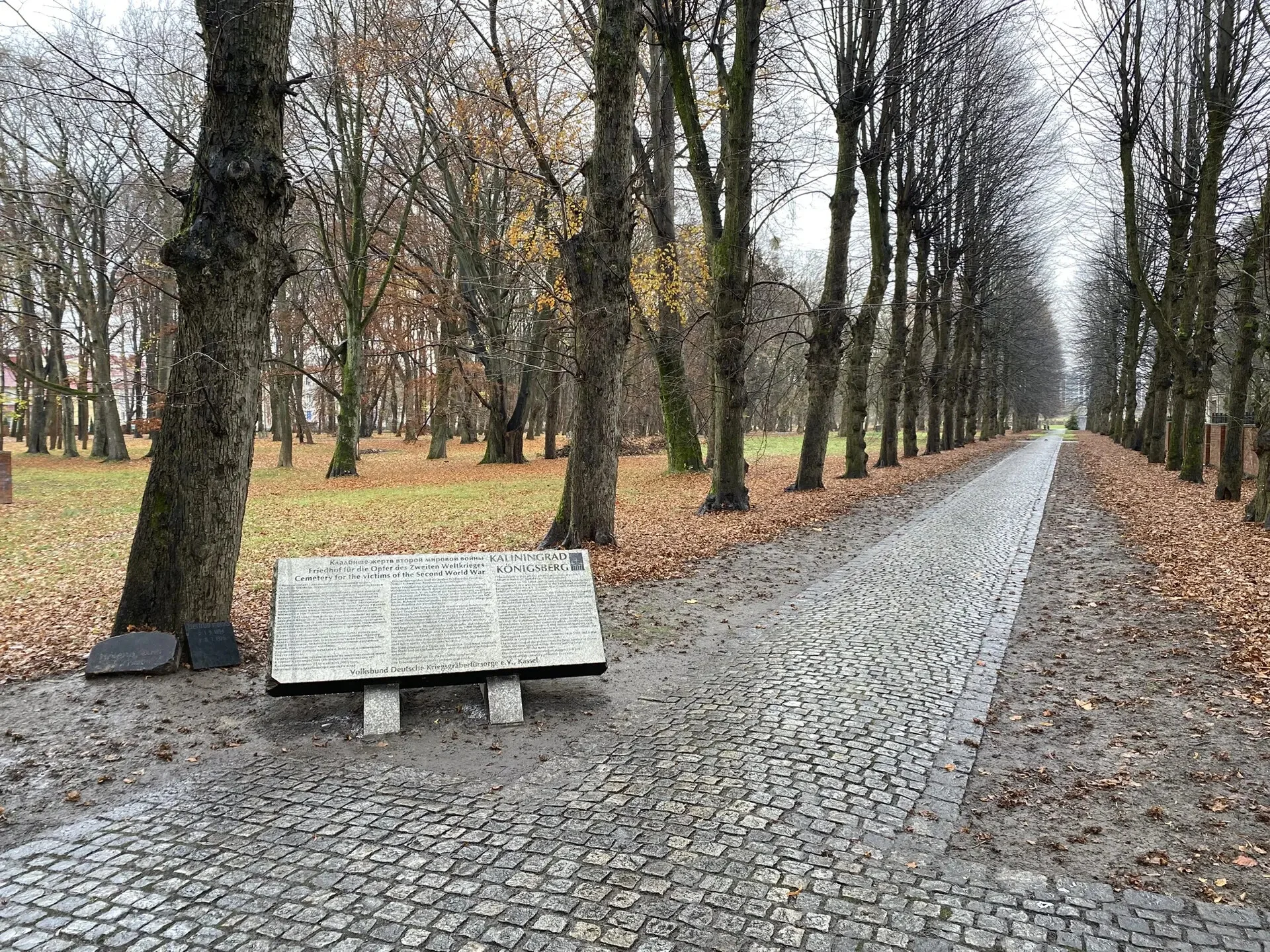 Card image 2